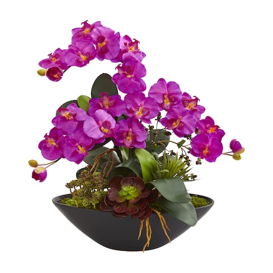 21&#x22; Moth Orchid &#x26; Mixed Succulent Garden Arrangement in Black Vase